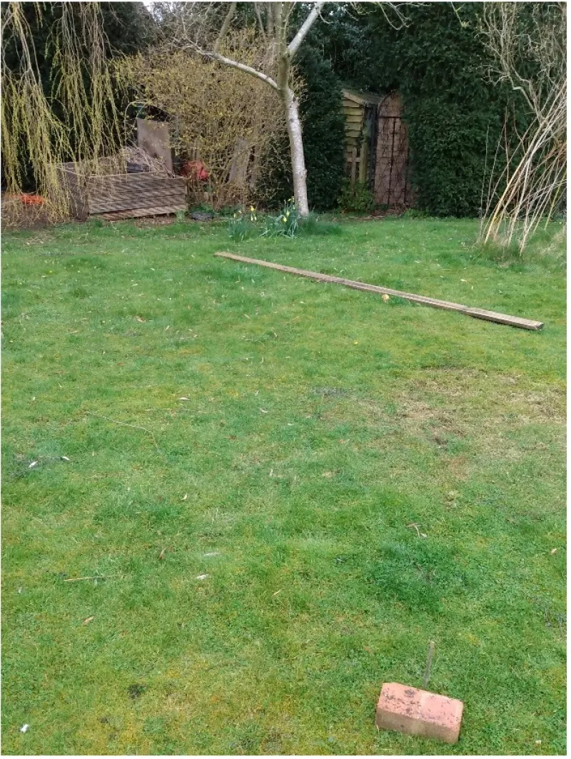 Picture 2
