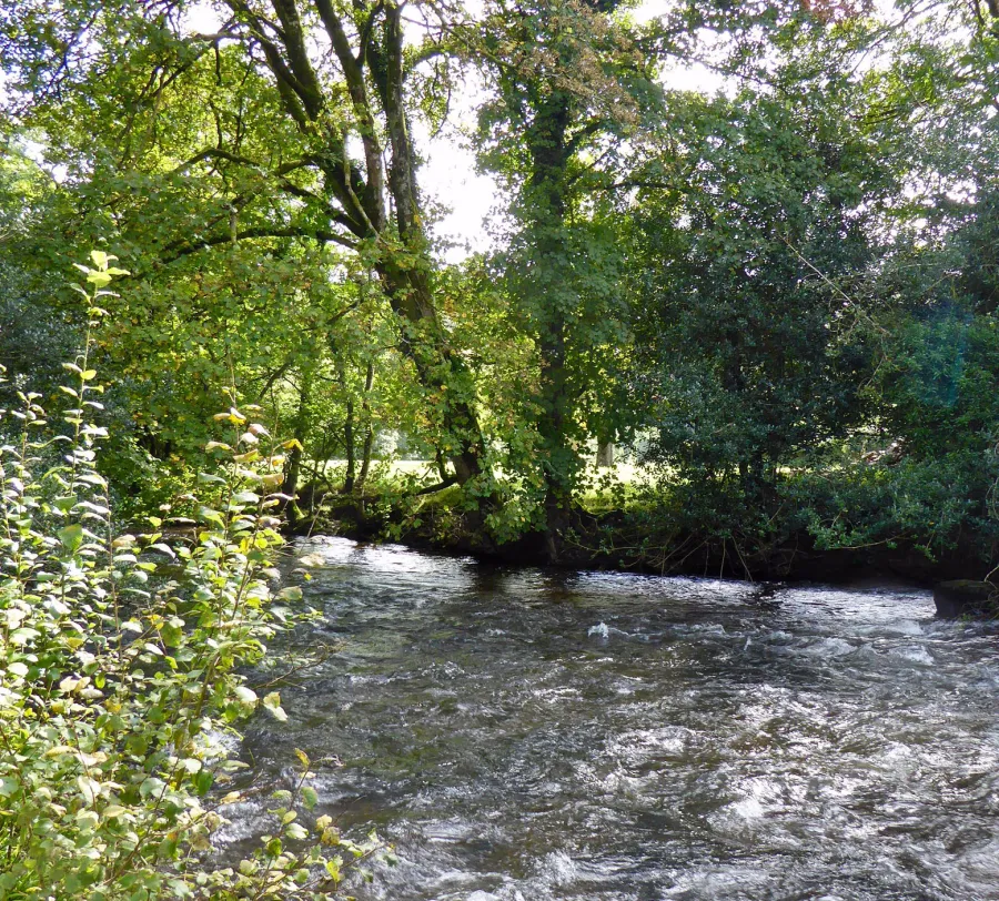 Exmoor